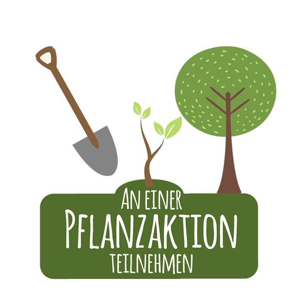 Pflanzaktion