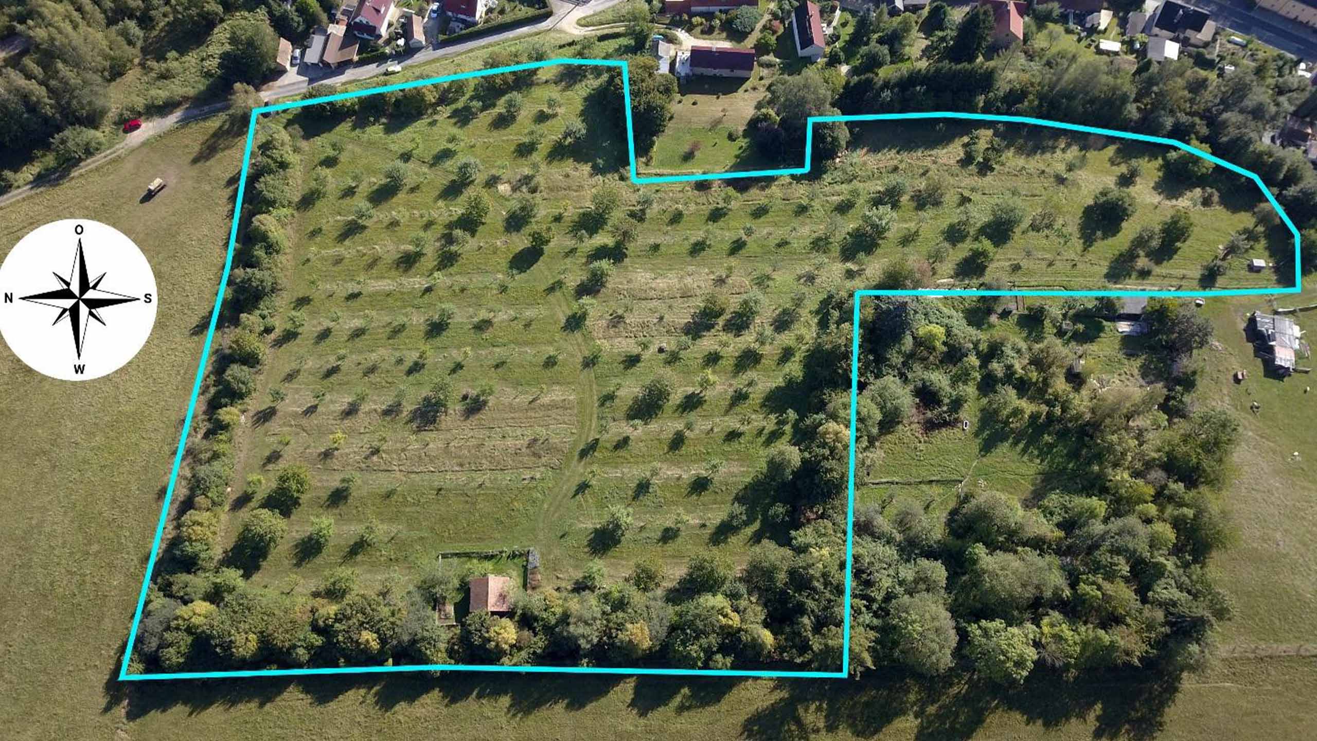 Publikation zu Streuobstwiesen und deren Artenvielfalt